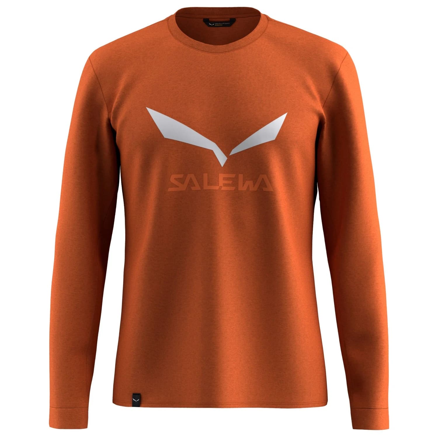 Мъжка спортна тениска Salewa Solidlogo Dry L/S Tee Longsleeve - Bombay Brown