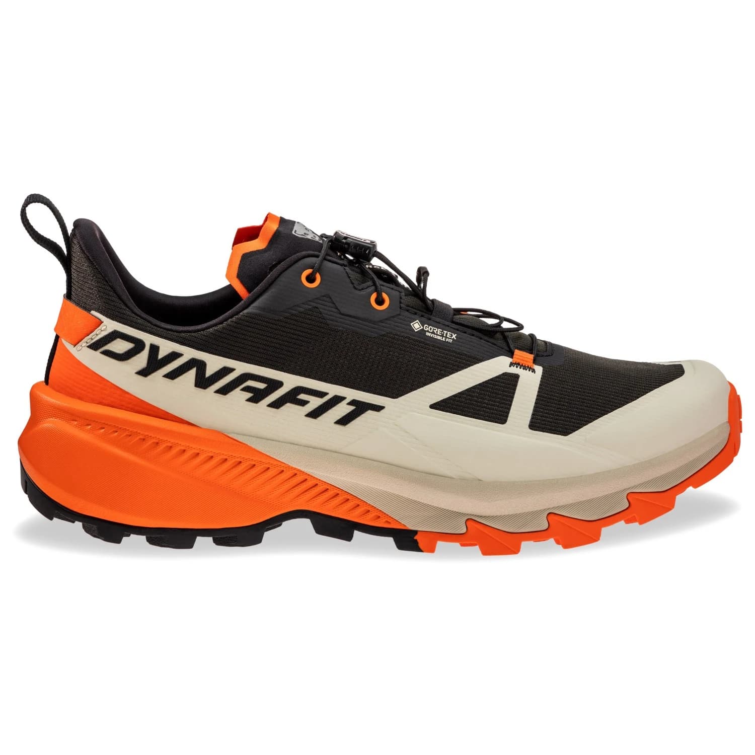 Мъжки туристически обувки Dynafit Traverse 2 GTX Walking boots - Overcast / Black Out