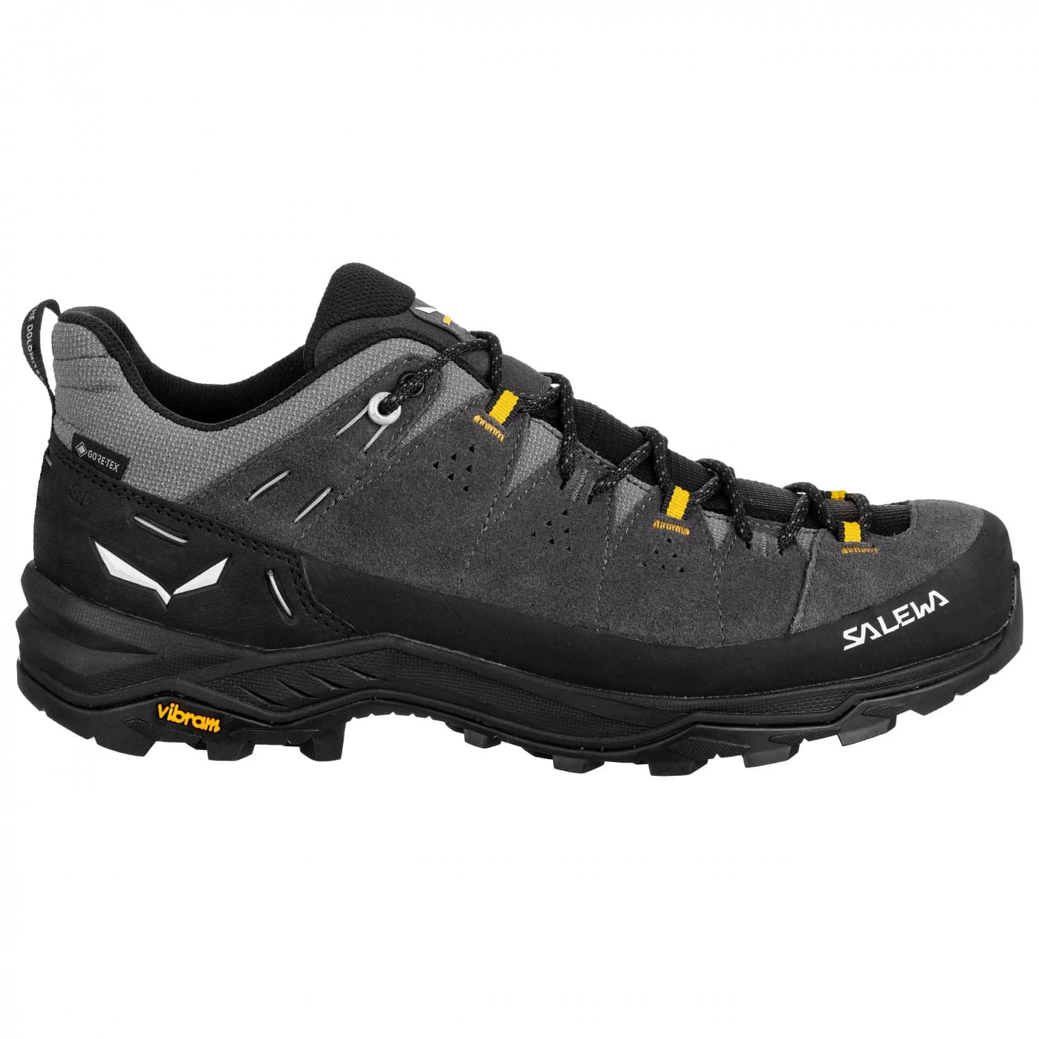 Мъжки мултиспорт обувки Salewa Alp Trainer 2 GTX Multisport shoes - Onyx / Black