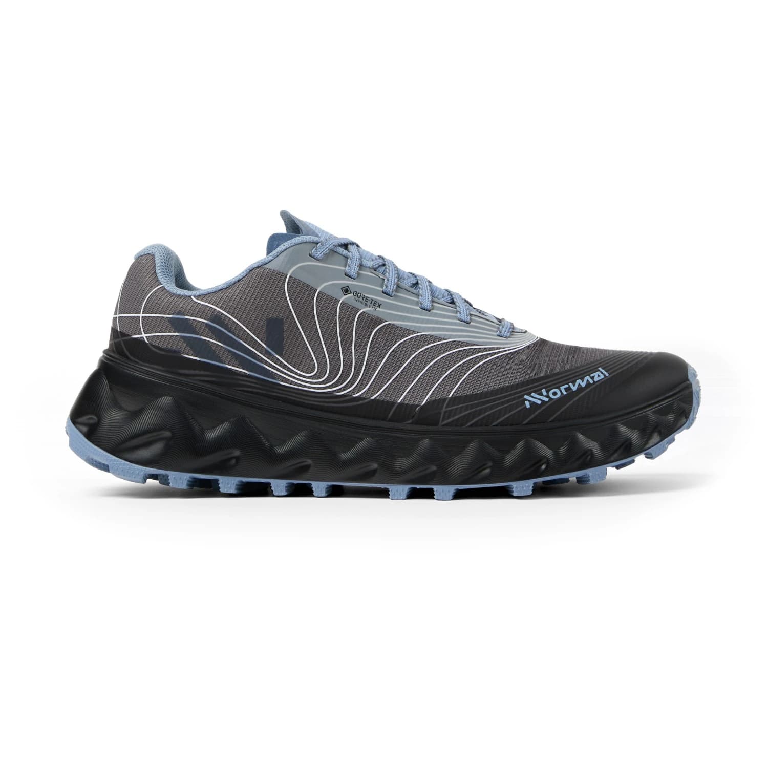 Маратонки NNormal Tomir 2.0 GTX Trail running shoes - Blue / Grey