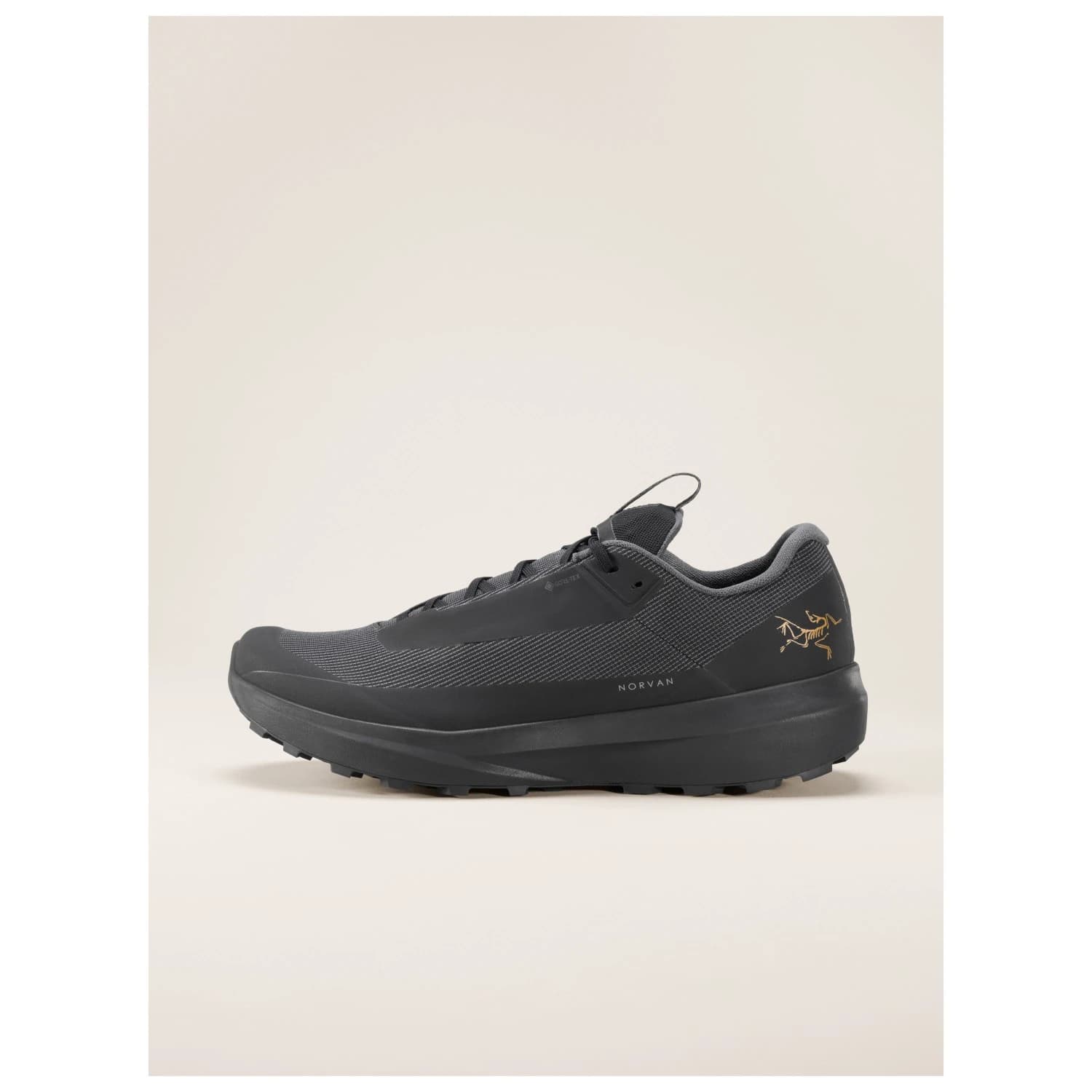 Мъжки маратонки Arc'teryx Norvan LD 4 GTX Trail running shoes - Black / Black