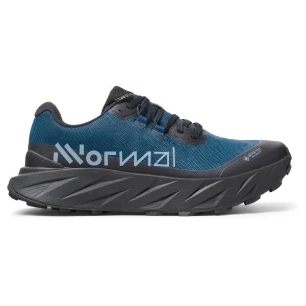 Мъжки маратонки NNormal Cadí GTX Trail running shoes - Blue / Black