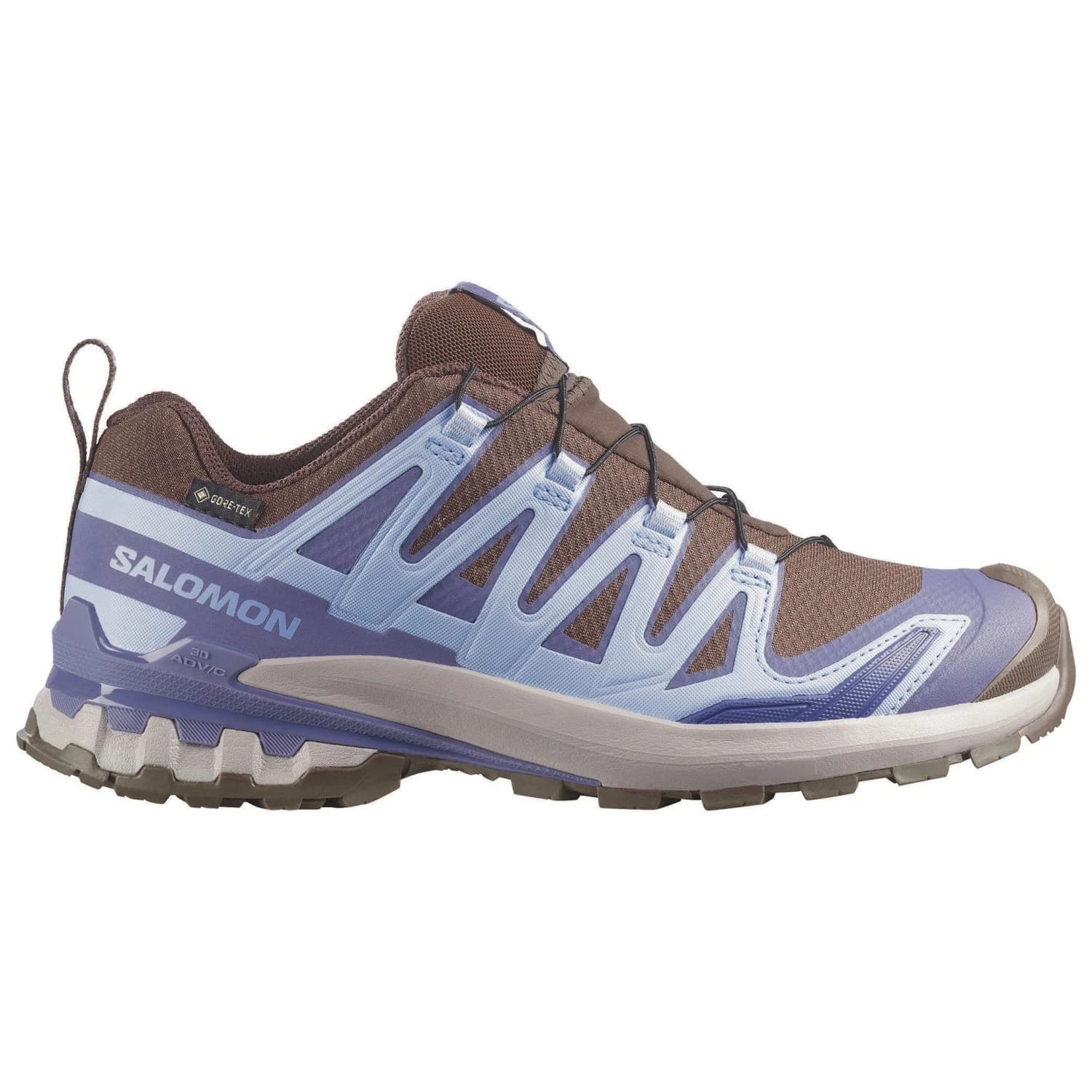 Дамски мултиспорт обувки Salomon Women's XA Pro 3D V9 GTX Multisport shoes - Dark Earth / Brunnera Blue / Heron