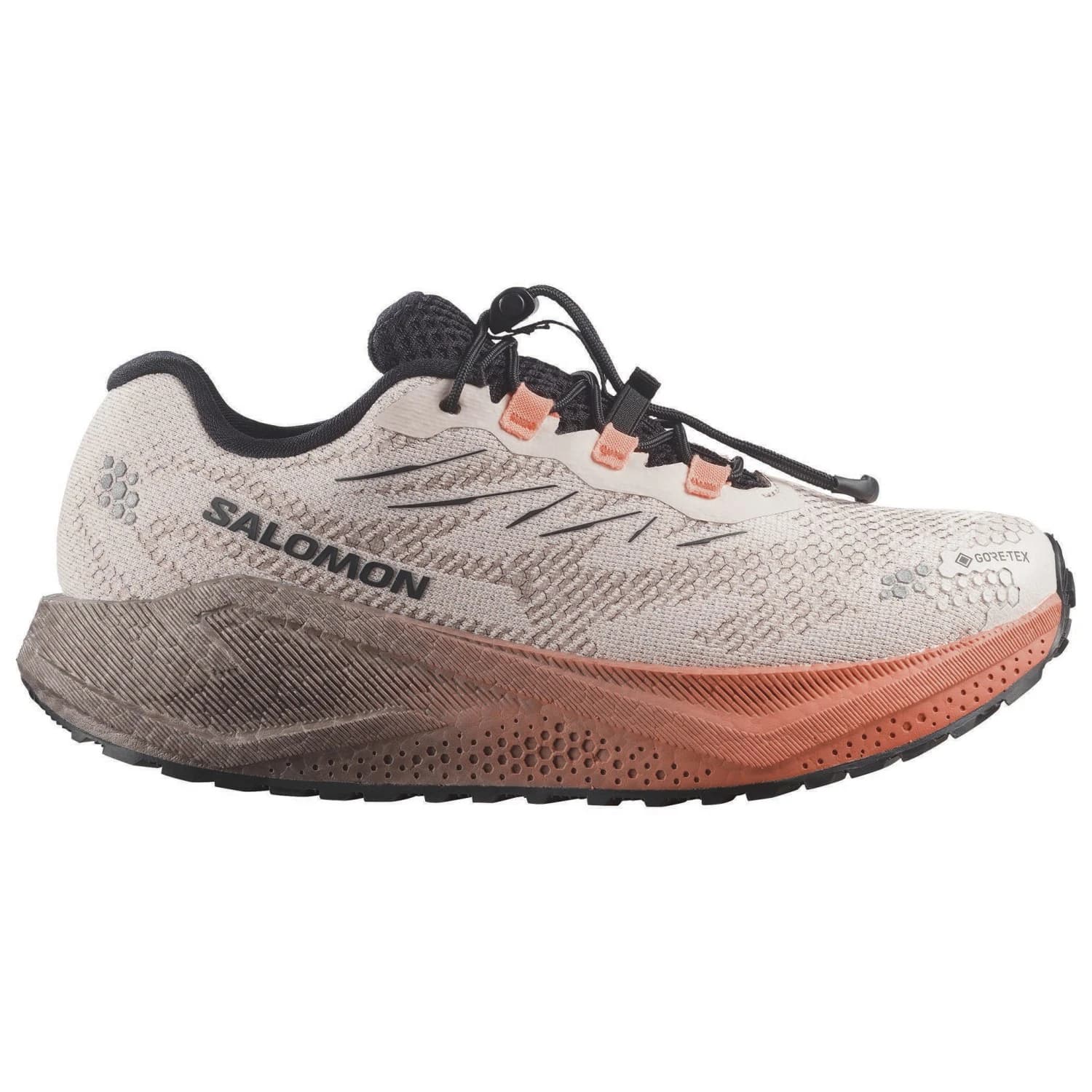 Маратонки Salomon Women's Aero Blaze 4 GRVL GTX Running shoes - Rainy Day / Black / Nectarine