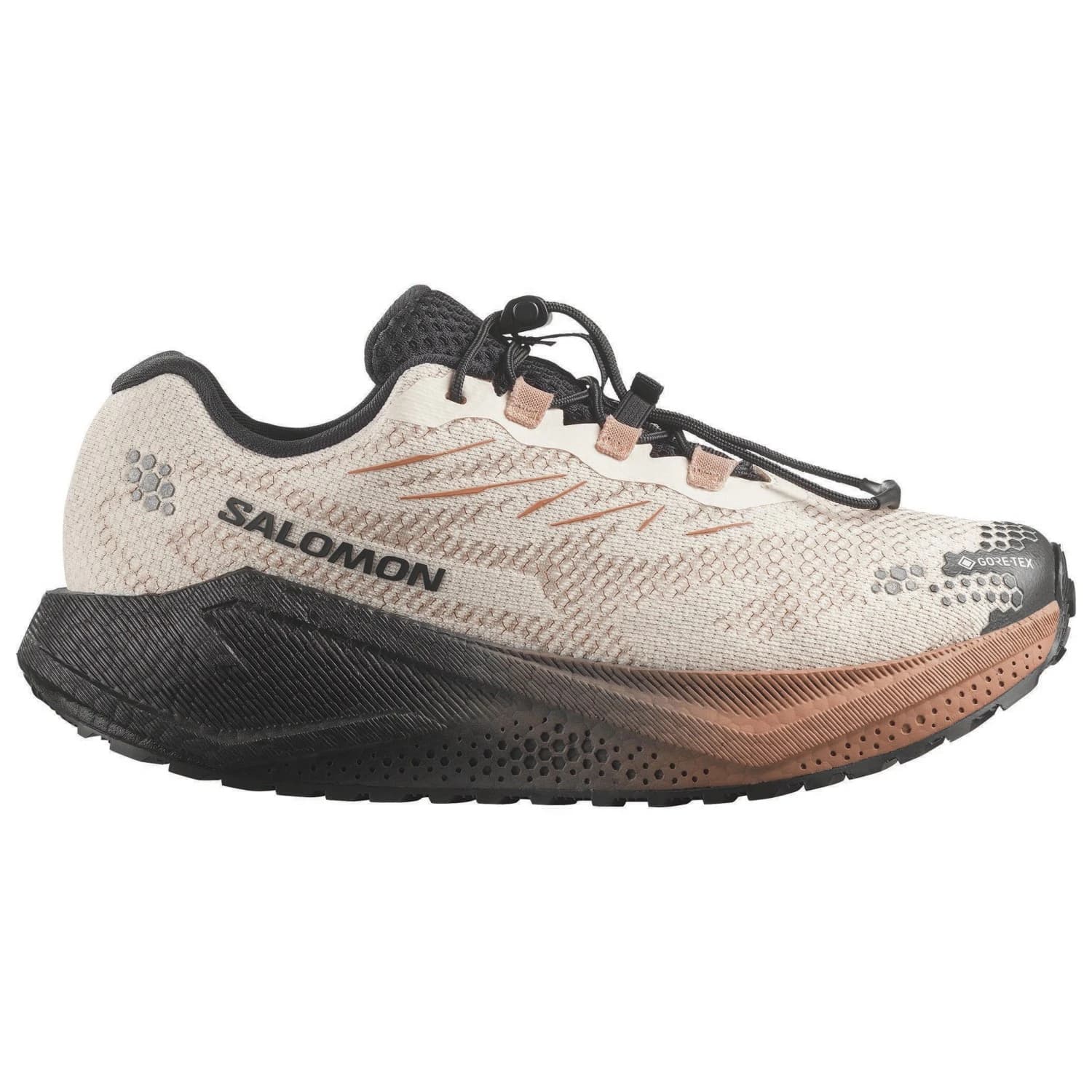 Дамски маратонки Salomon Women's Aero Blaze 4 GRVL GTX Running shoes - Vanilla Ice / Black / Burro