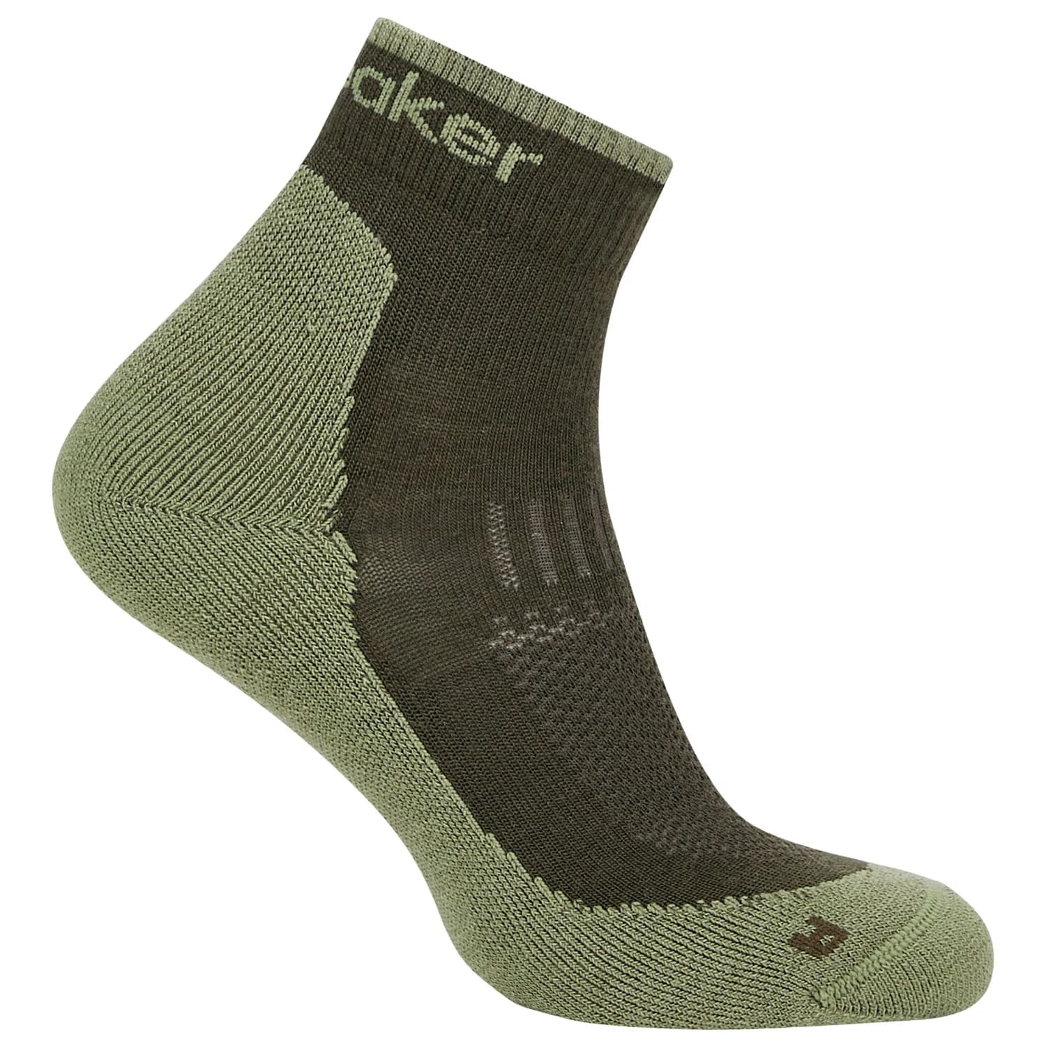 Мъжки туристически чорапи Icebreaker Merino Hike+ Light Mini Walking socks - Dark Loden / Lichen