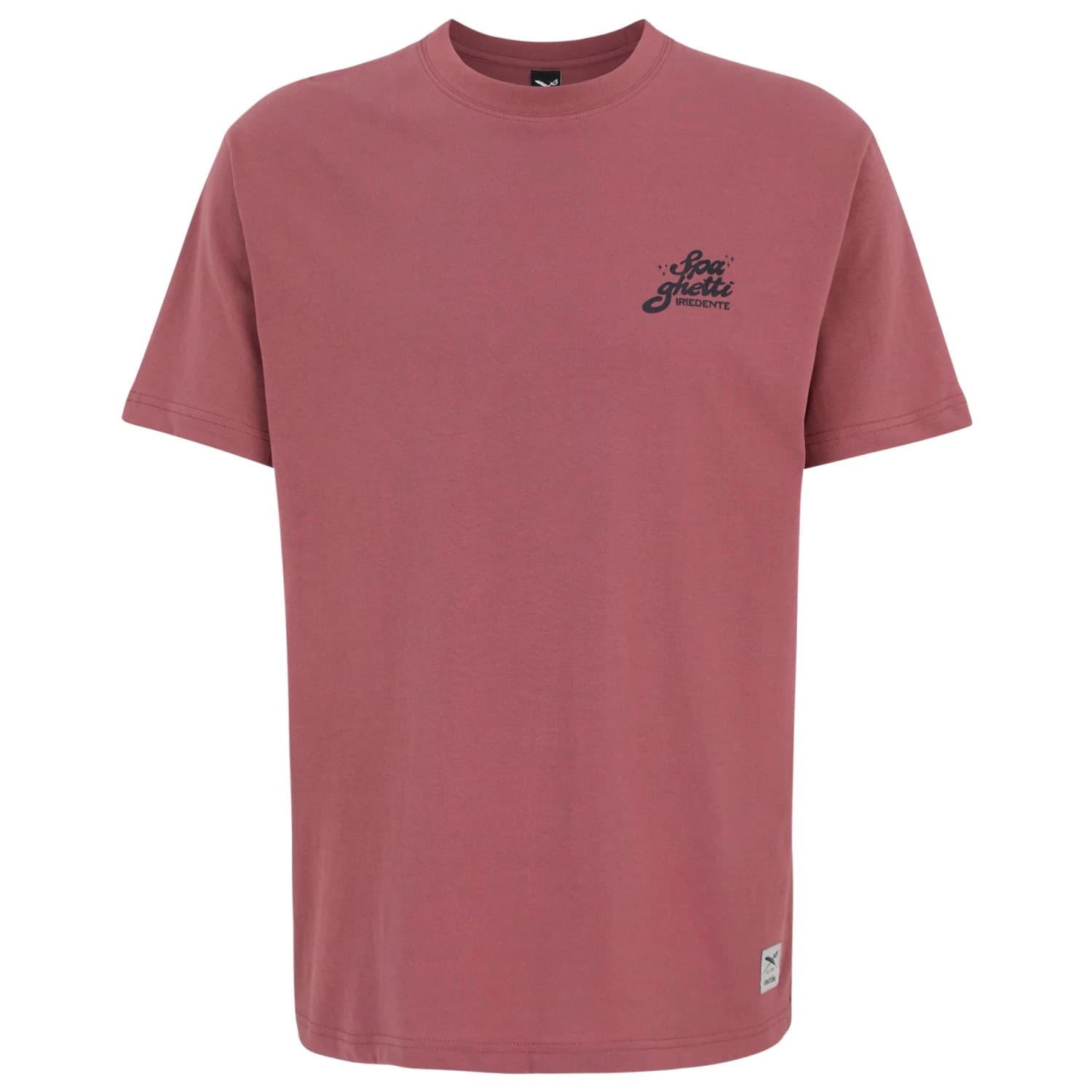 Мъжка тениска Iriedaily Spa Ghetti Tee T-shirt - Plum