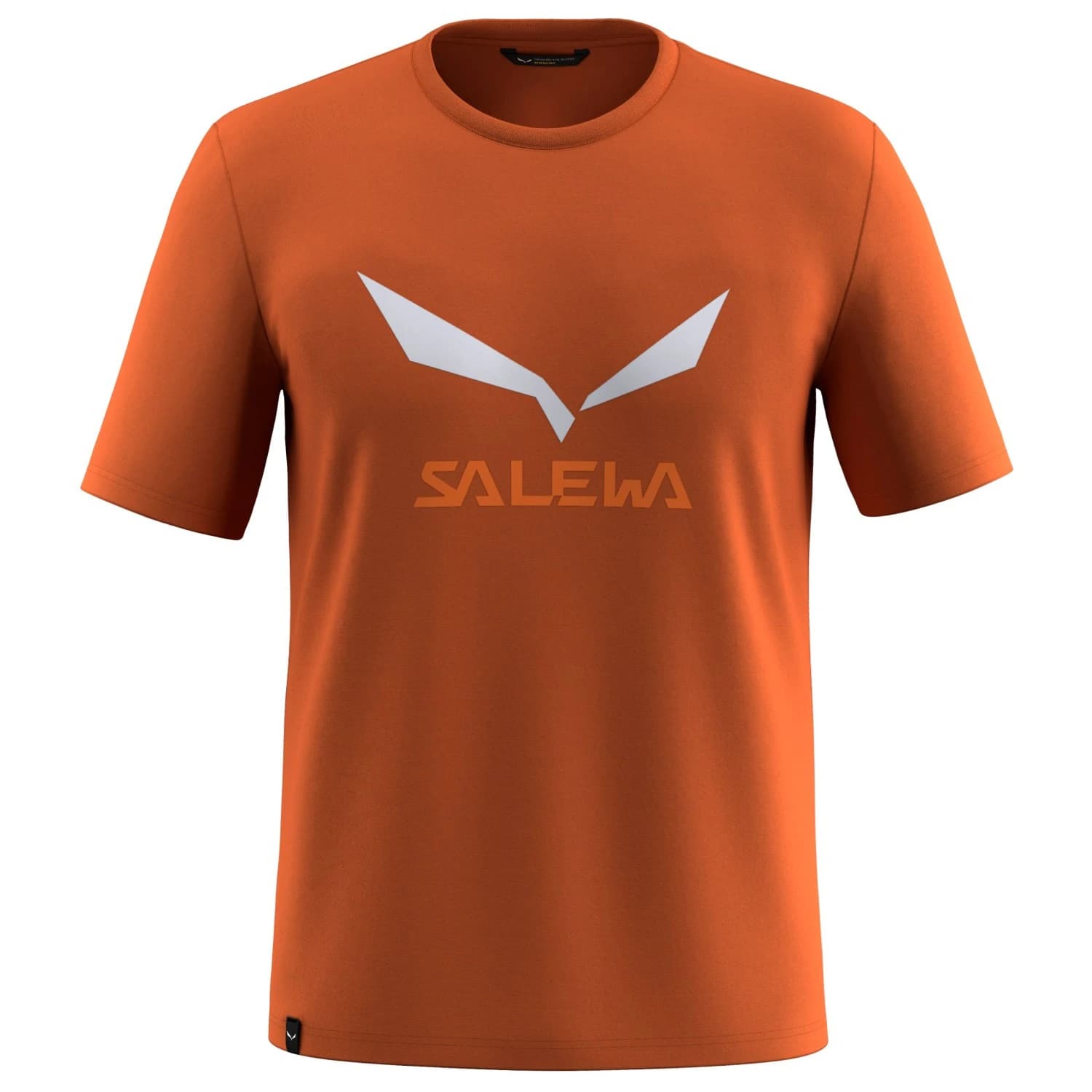 Мъжка спортна тениска Salewa Solidlogo Dry T-Shirt Sport shirt - Bombay Brown