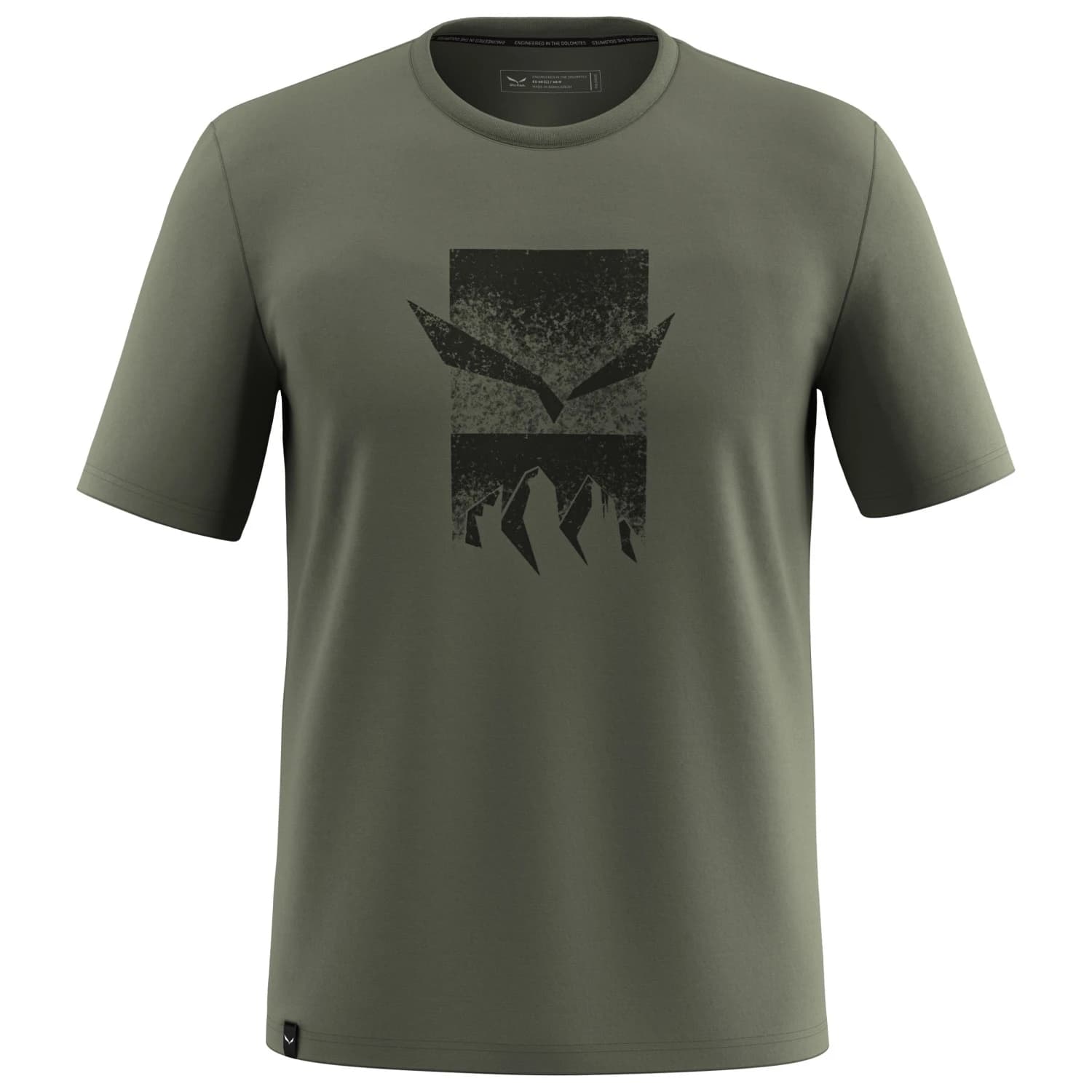 Мъжка спортна тениска Salewa Eagle 3Cime T-Shirt Sport shirt - Faded Green