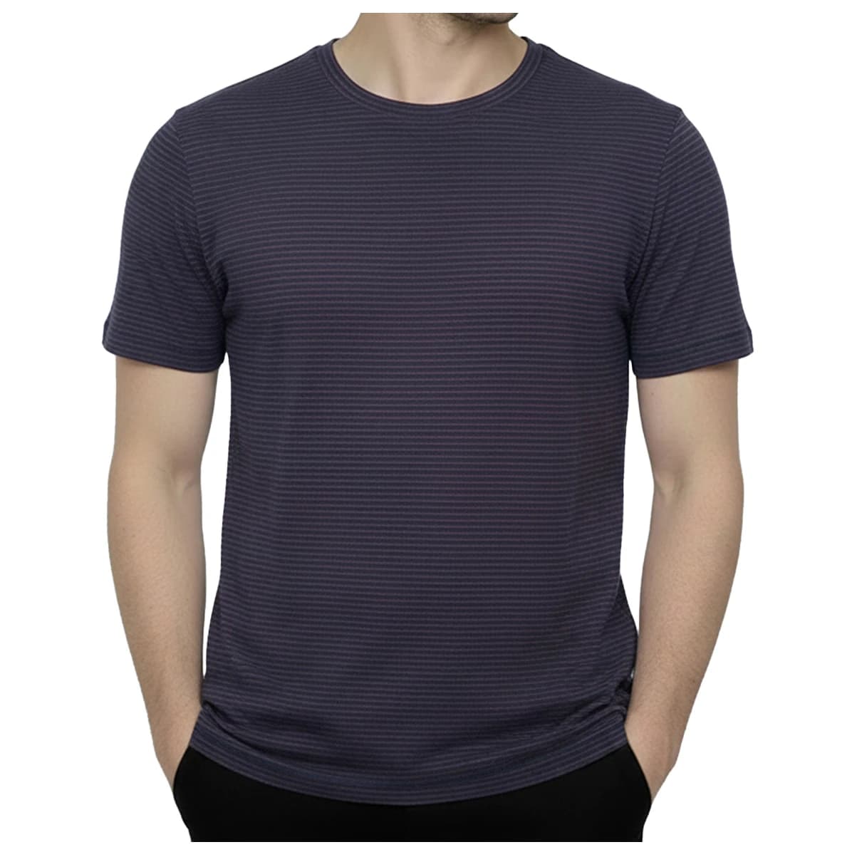 Мъжка тениска GreenBomb Basic Spice T-shirt - Purple Blue Stripes