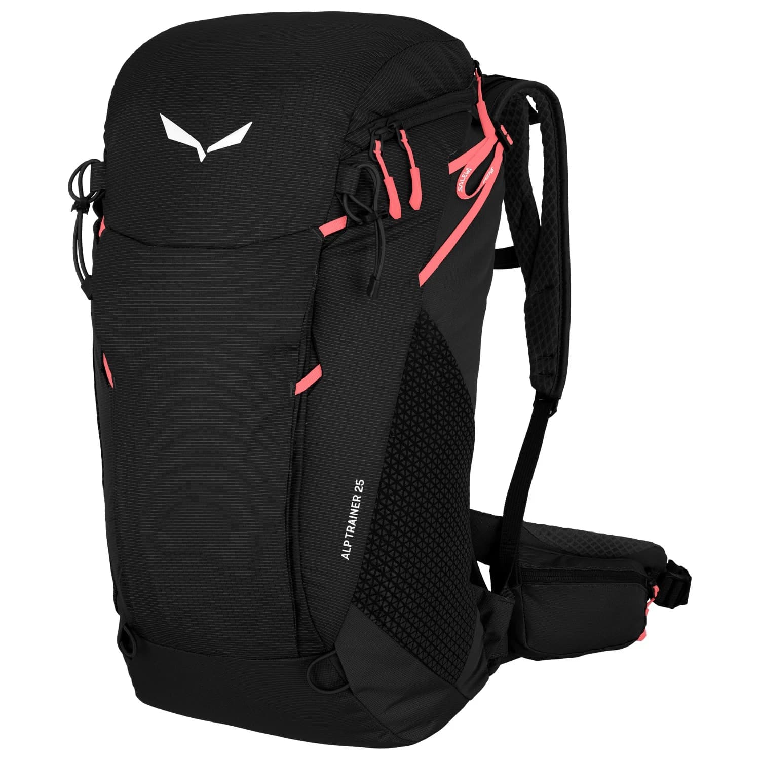 Туристическа раница Salewa Alp Trainer 25 Walking backpack - Black Out