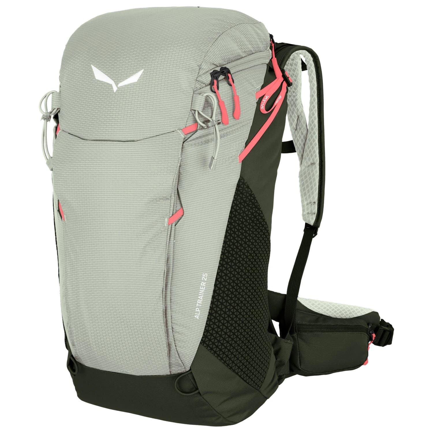 Туристическа раница Salewa Alp Trainer 25 Walking backpack - Shadow / Dark Olive