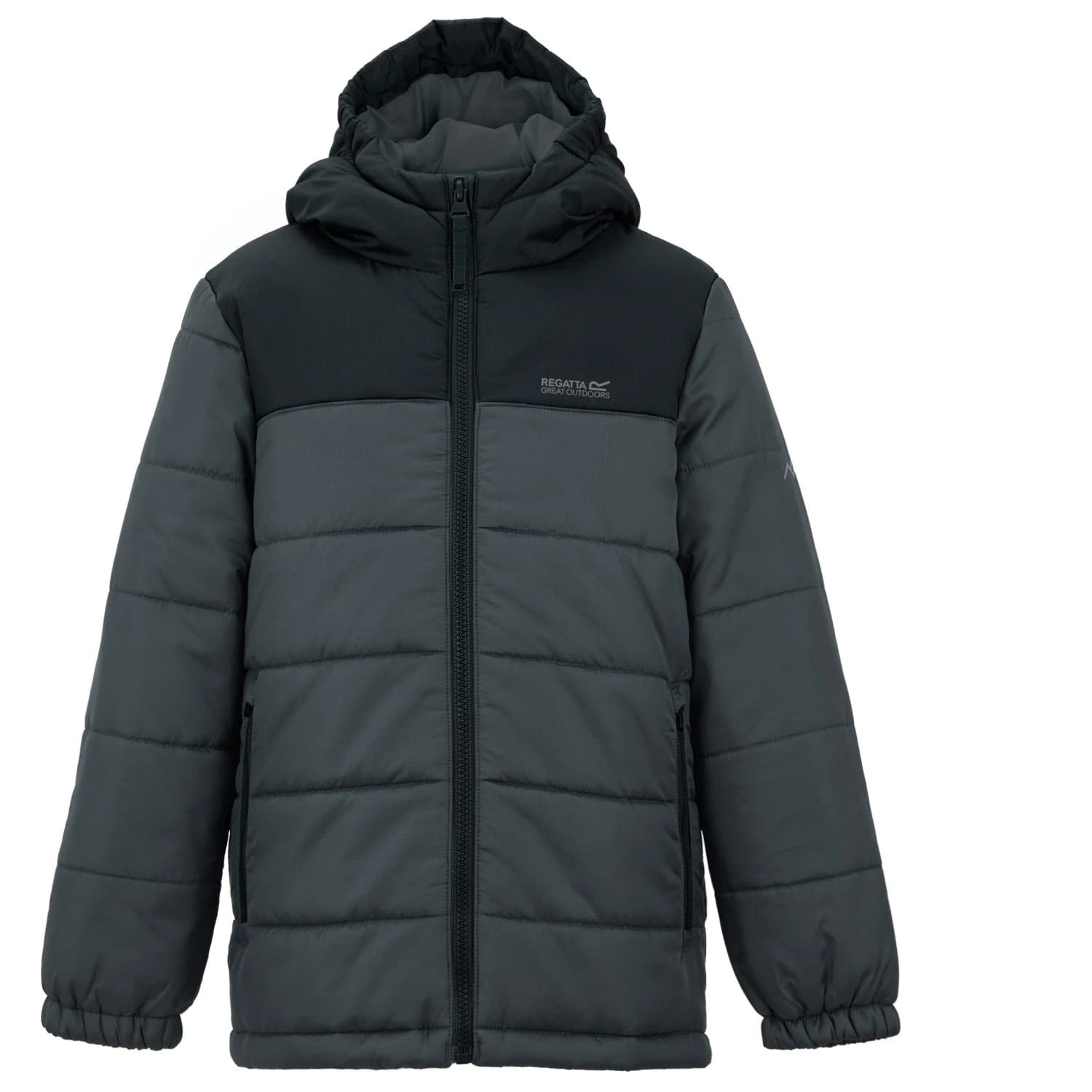 Зимно яке Regatta Lofthouse Winter jacket - Black / Sealgr