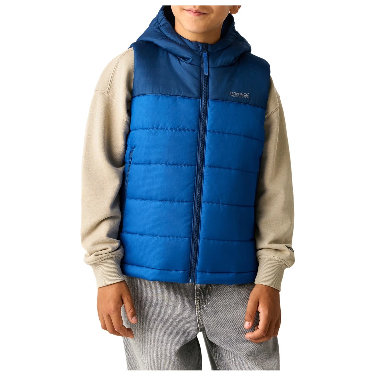 Синтетичен елек Regatta Lofthouse B/W Synthetic vest - Aviator Blue / Olympian Blue