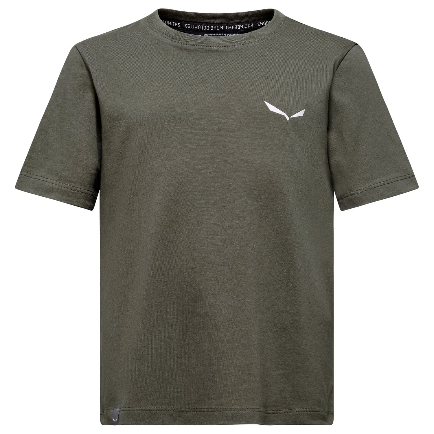 Детска тениска Salewa Kid's Graphic T-Shirt - Faded Green