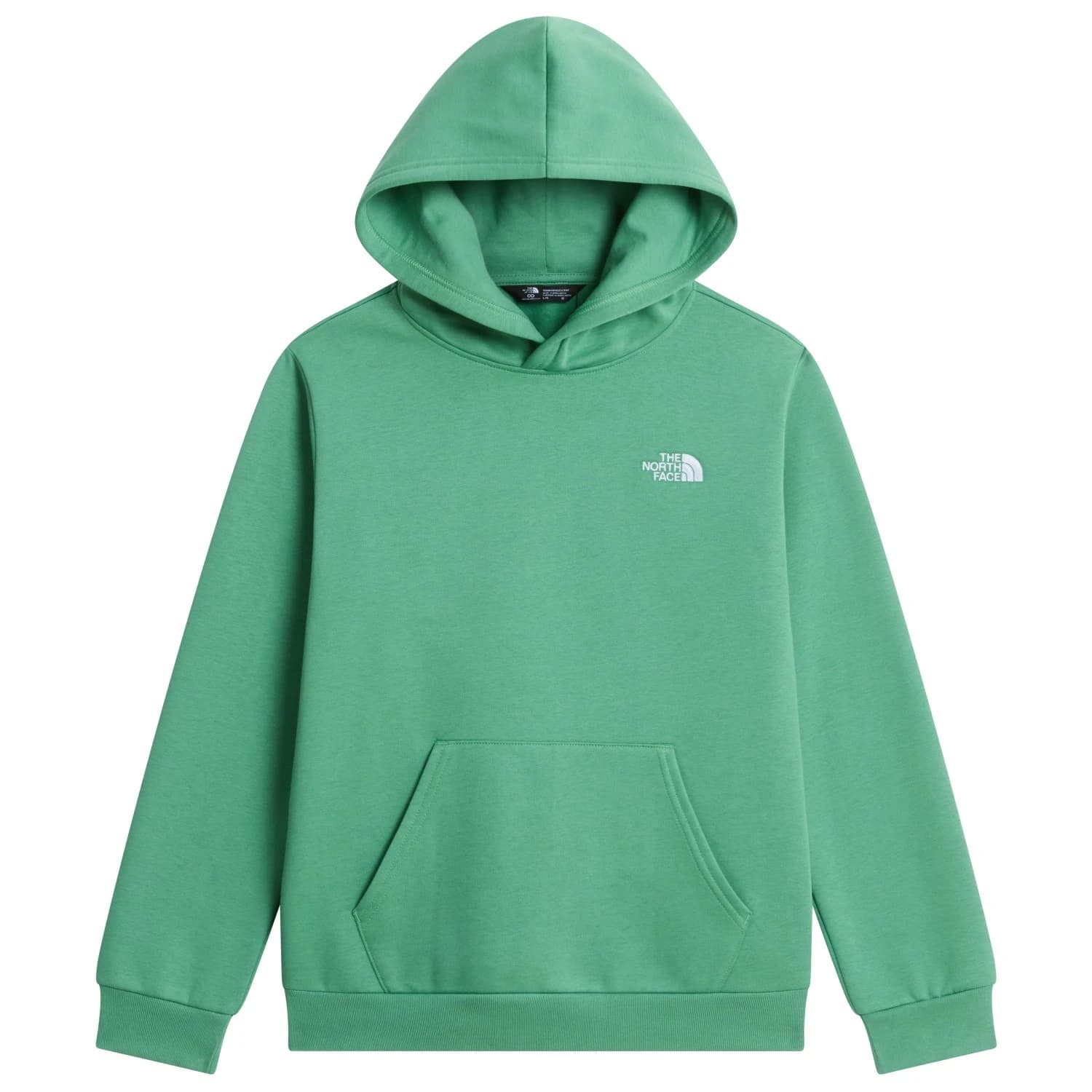 Детски суичър The North Face Kid's Evolution Simple Dome Pullover Hood Hoodie - Dimmed Algae
