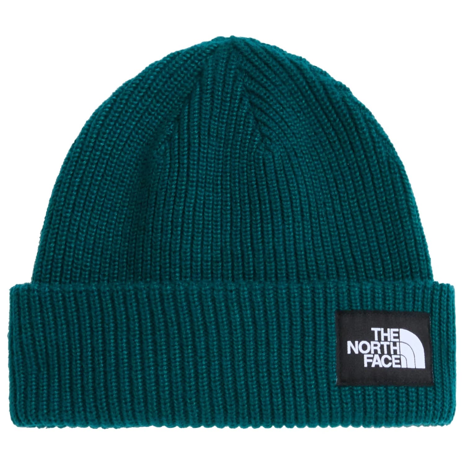 Мъжка зимна шапка (beanie) The north face Salty Lined Beanie - Pacific Teal
