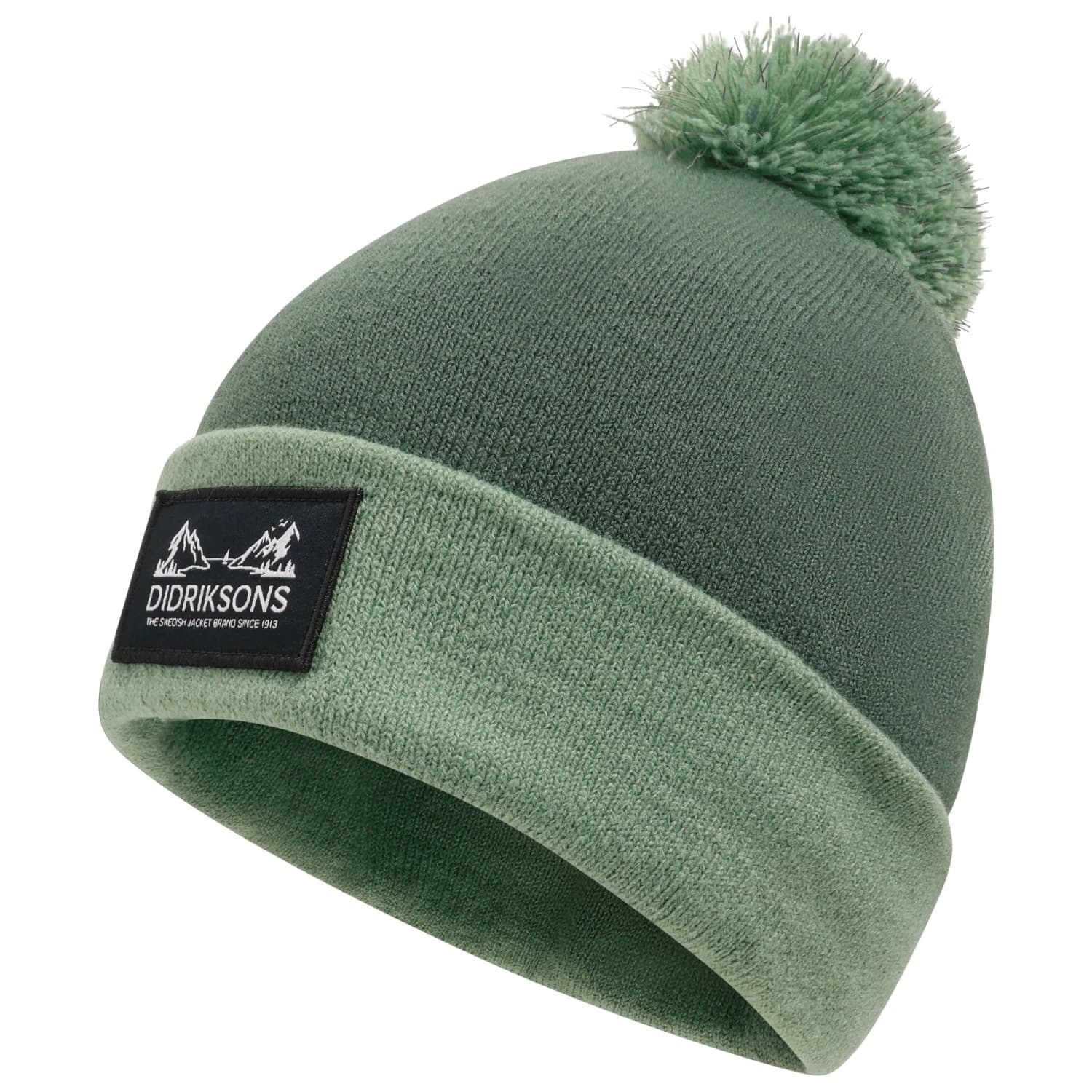Детска зимна шапка (beanie) Didriksons Kid's Aspen Beanie - Dark Moss