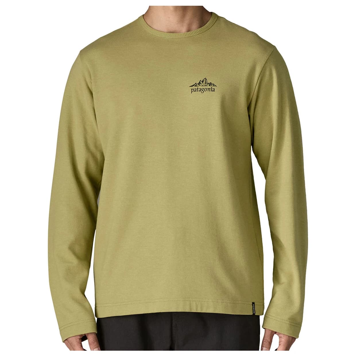 Мъжки пуловер Patagonia LW Cloud Crag Wildrise Crew Jumper - Gumtree Green