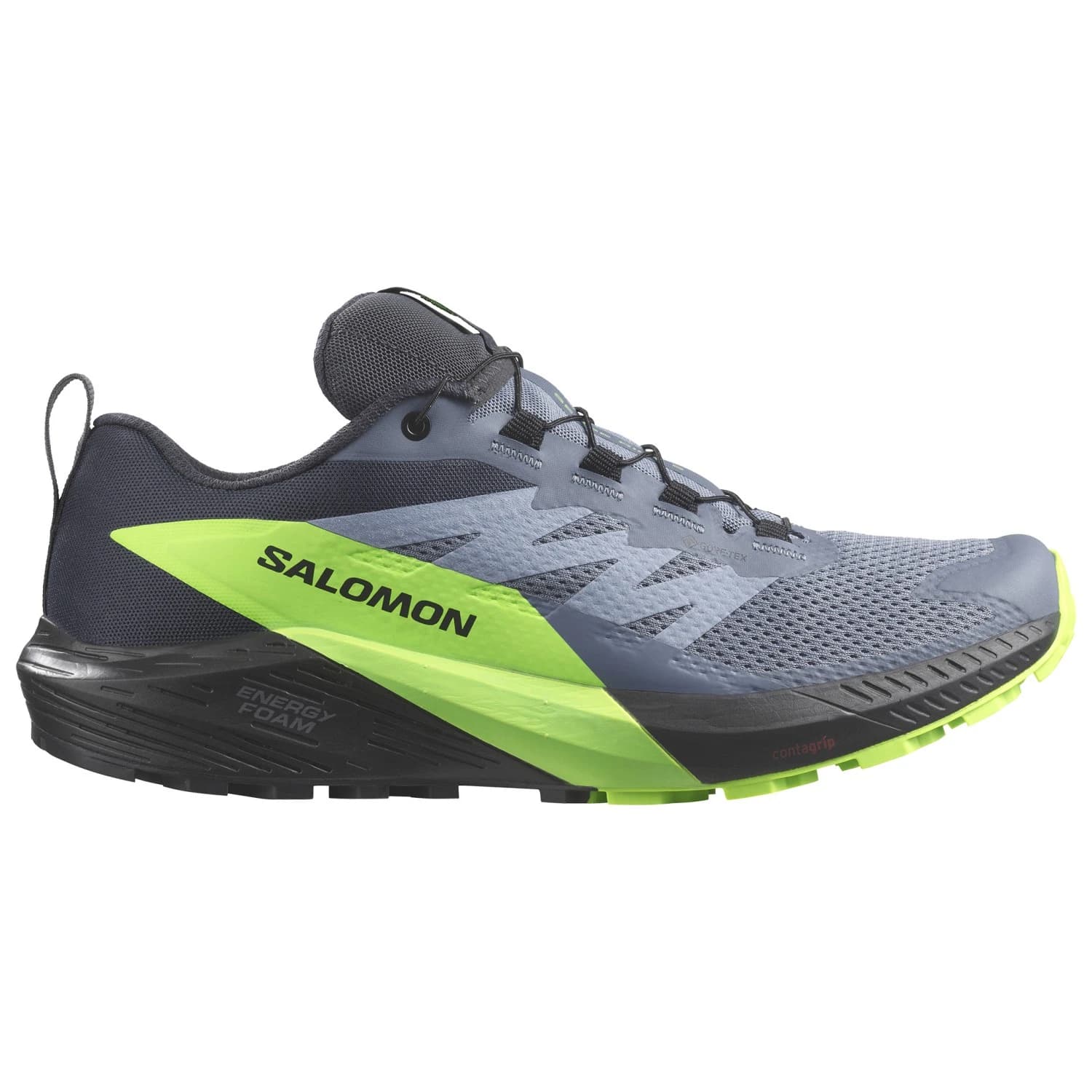 Мъжки маратонки Salomon Sense Ride 5 GTX Trail running shoes - Flint Stone / Black / Green Gecko
