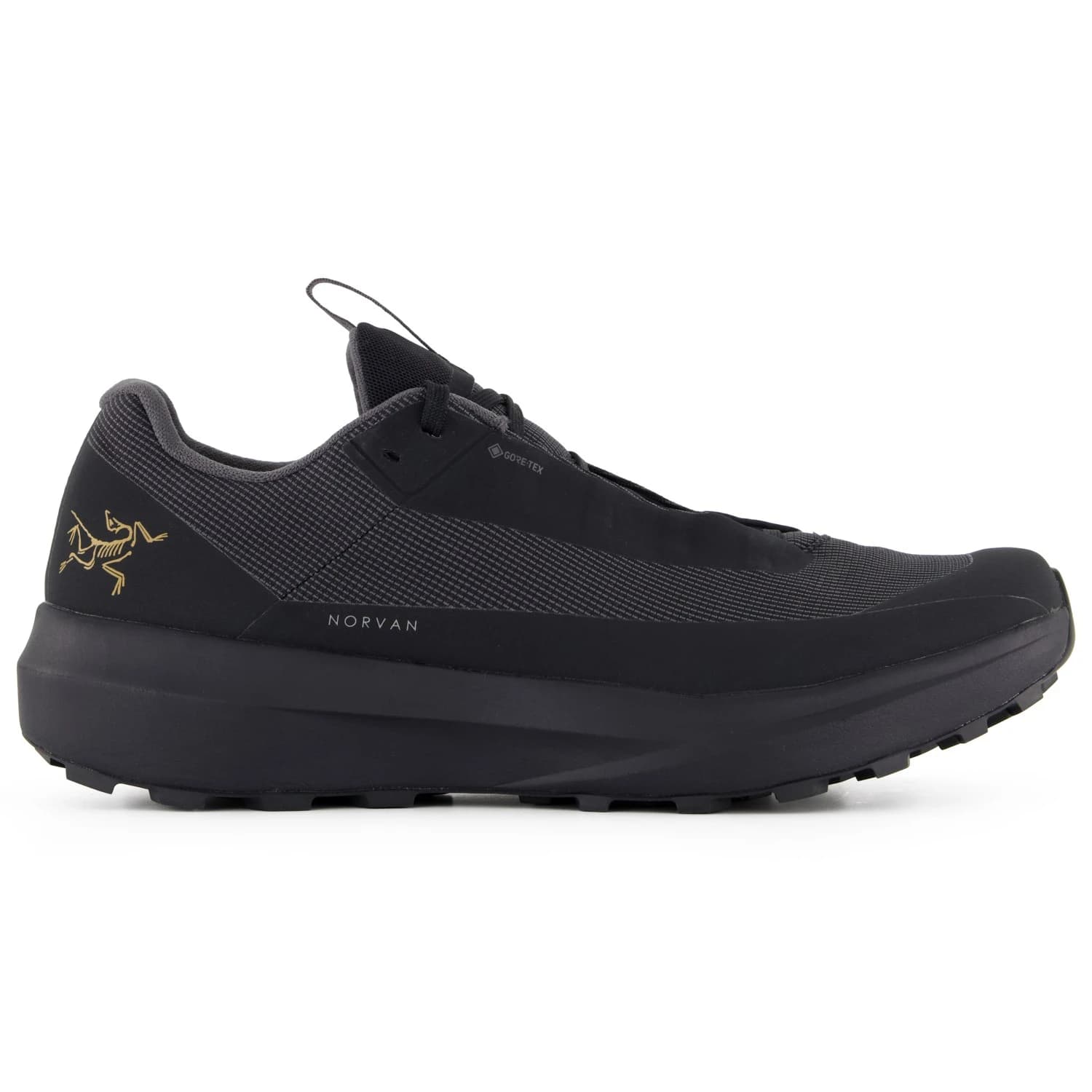 Маратонки Arc'teryx Norvan LD 4 GTX Trail running shoes - Black / Black
