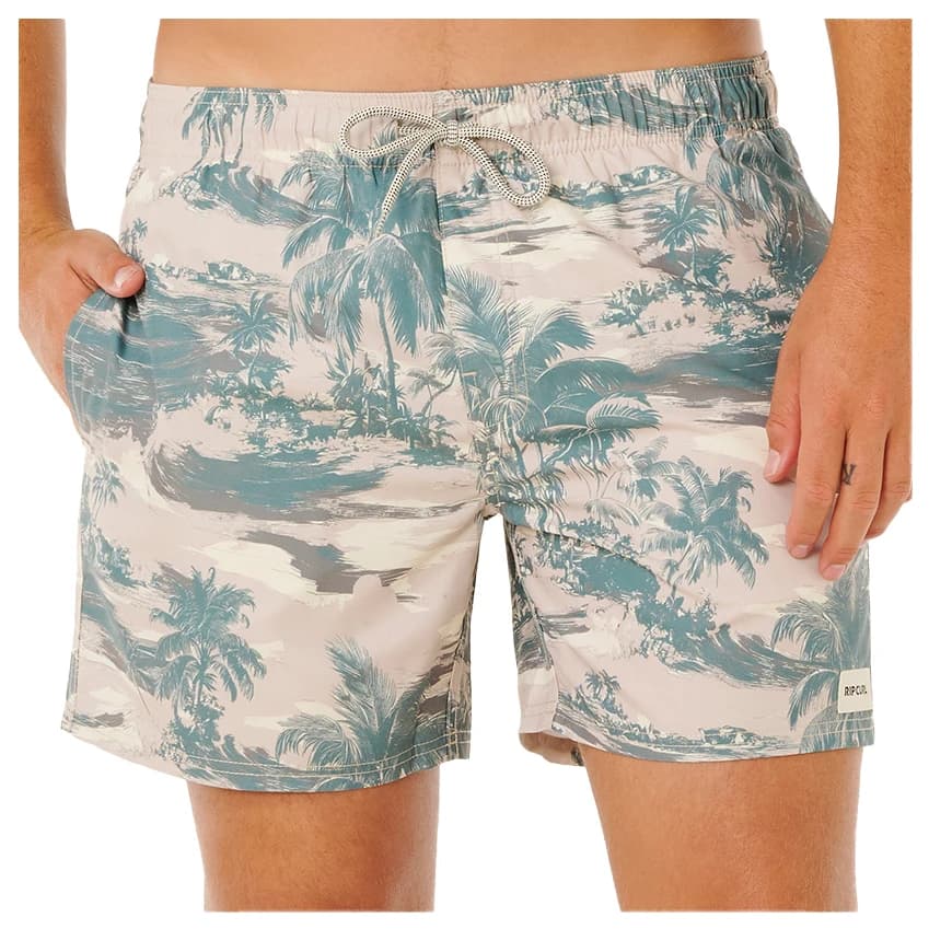 Мъжки бански слипове Rip Curl Dreamers Volley Swim brief - Fatigue