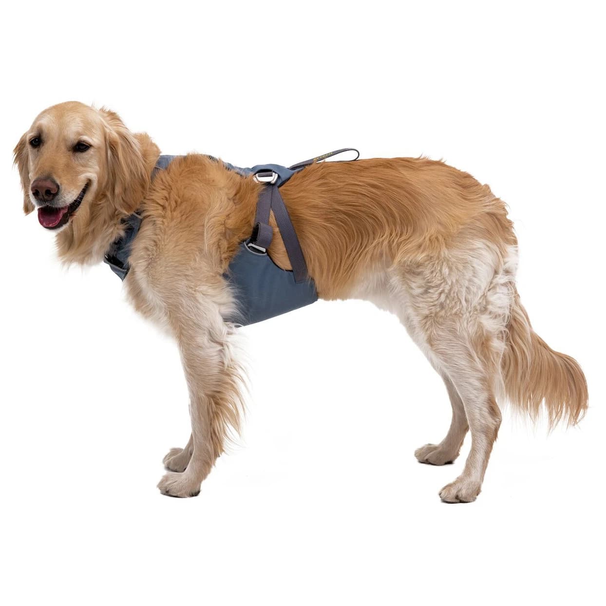 Нагръдник за куче Ruffwear Load Up Harness Dog harness - Slate Blue