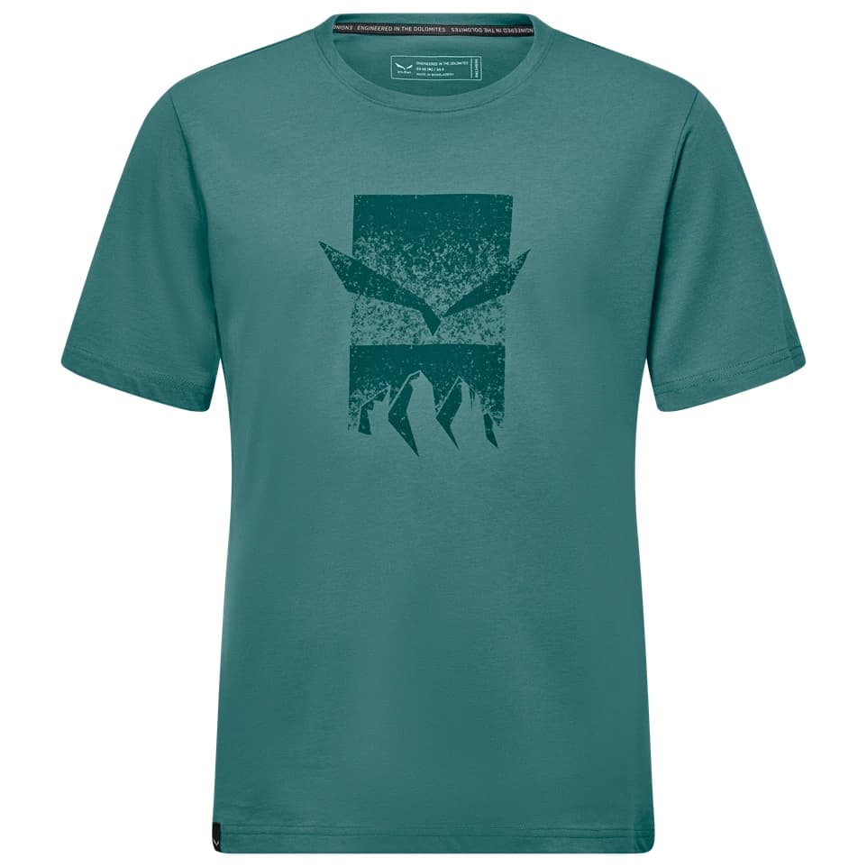 Мъжка спортна тениска Salewa Eagle 3Cime T-Shirt Sport shirt - Willow / Pond