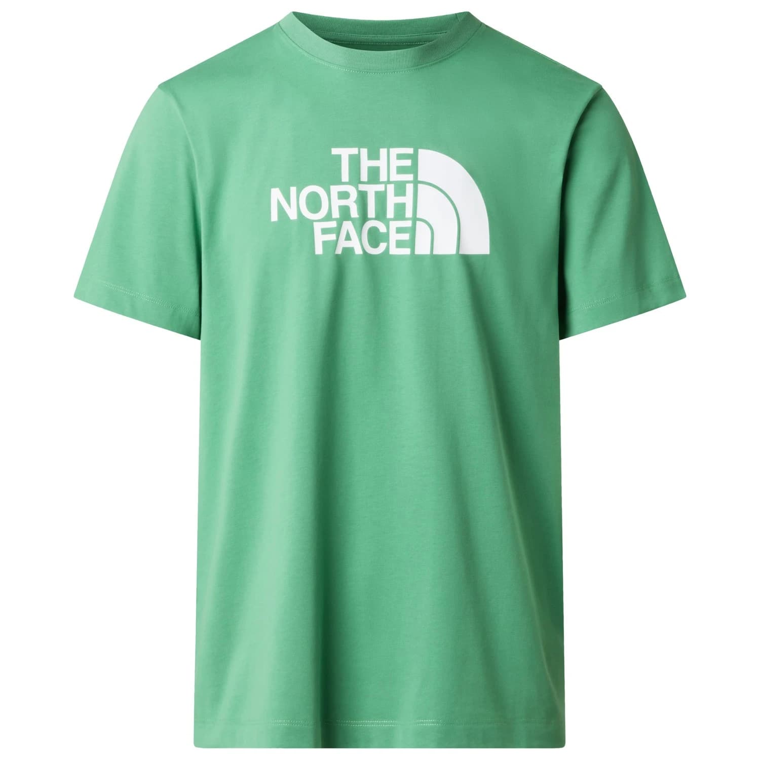 Мъжка тениска The North Face Evolution Half Dome Short Sleeve T-shirt - Dimmed Algae