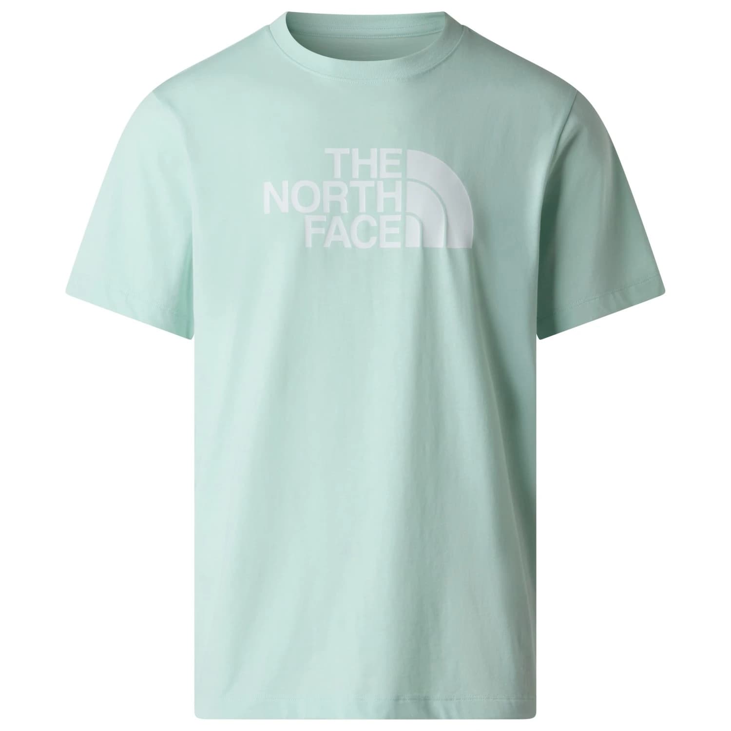 Мъжка тениска The North Face Evolution Half Dome Short Sleeve T-shirt - Opal Frost