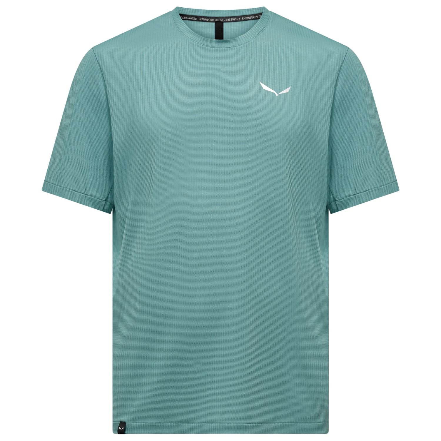 Мъжка спортна тениска Salewa Pedroc Dry Light T-Shirt Sport shirt - Willow
