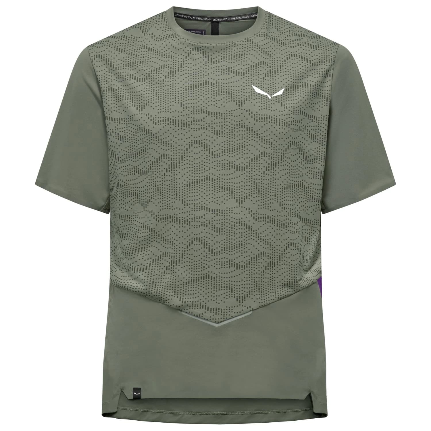 Мъжка спортна тениска Salewa Pedroc Tech Dry T-Shirt Sport shirt - Faded Green