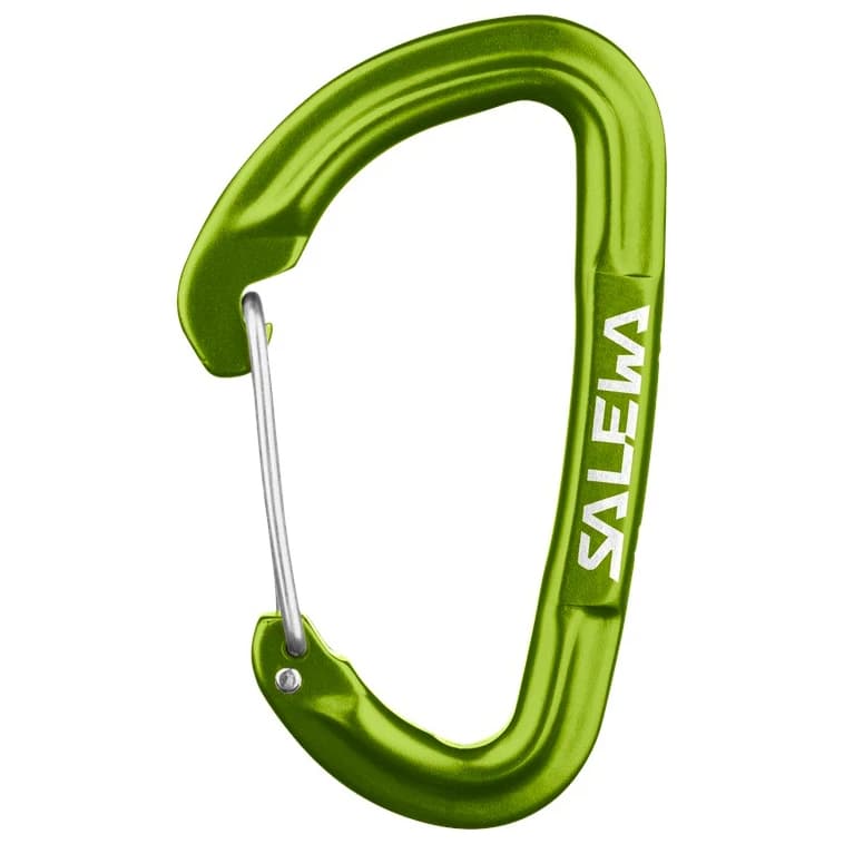 Карабинер с щифт Salewa Hot G3 Wire Carabiner Snapgate carabiner - Fluo Green