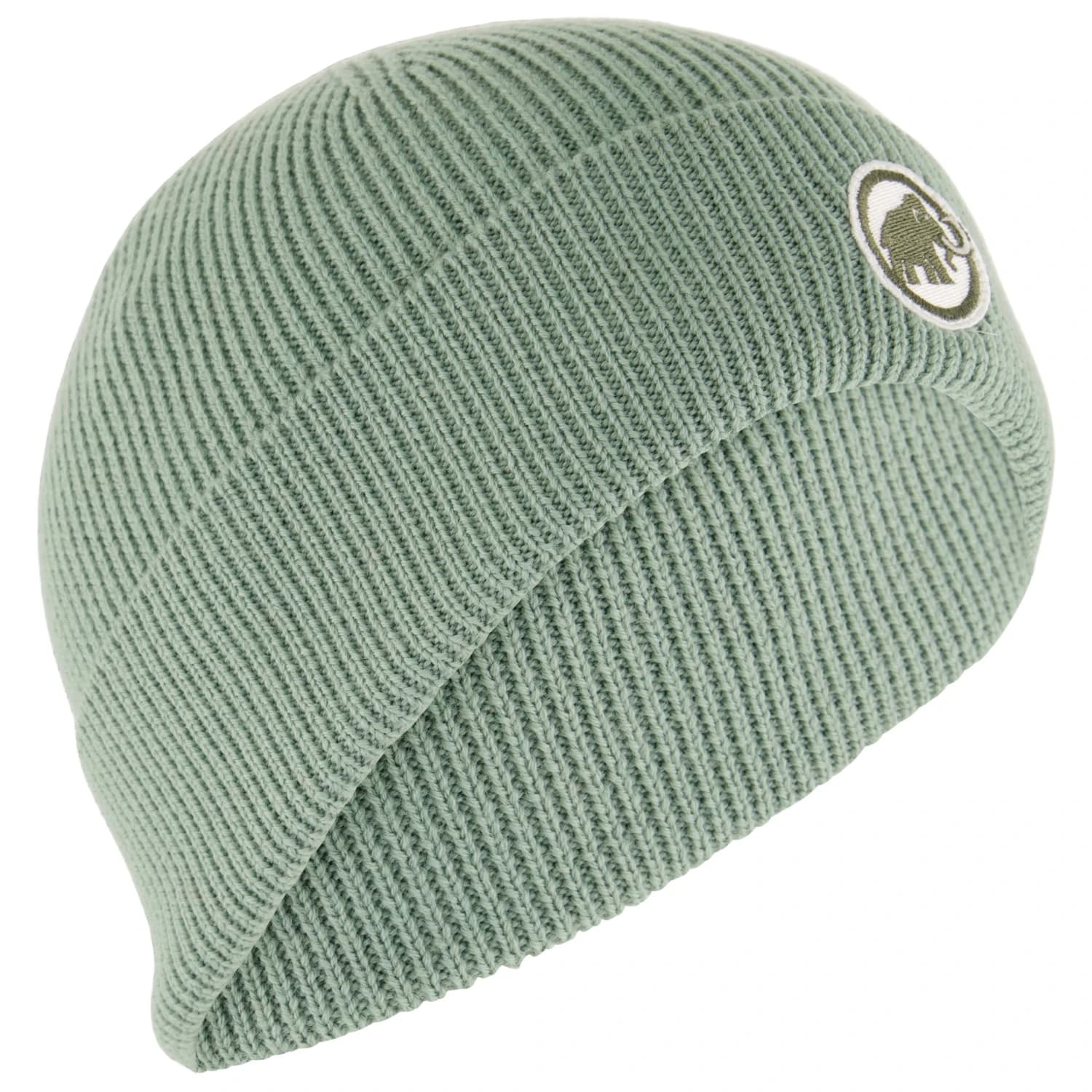 Детска зимна шапка (beanie) Mammut Kid's Mammut Logo Beanie - Willow