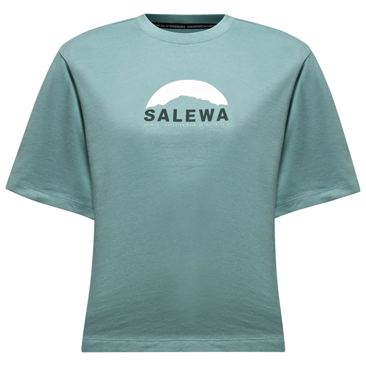 Дамска тениска Salewa Women's Eagle Sunrise T-Shirt S/S T-shirt - Willow
